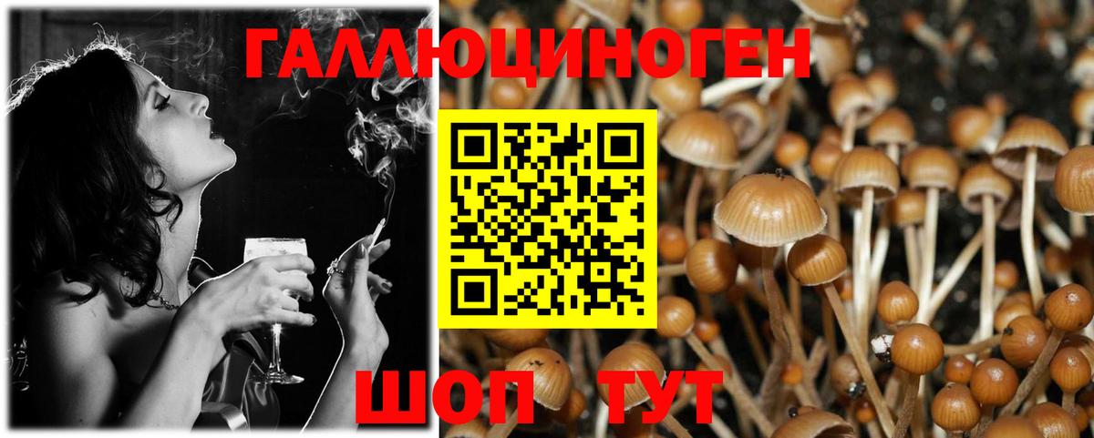 Псилоцибиновые грибы ЛСД  Галлюциногенные грибы MAGIC MUSHROOMS  Каменка  Вход с VPN 